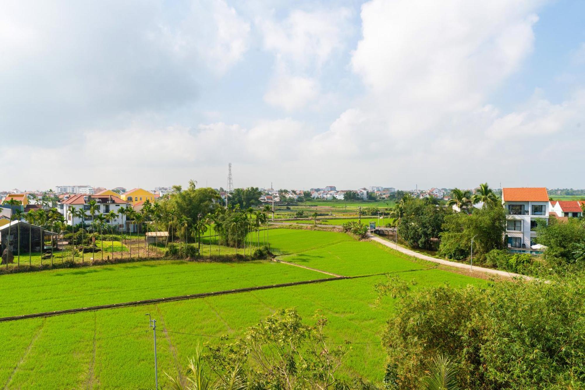 Hotel Hoi An Pinus Boutique Tan Thanh Exterior foto